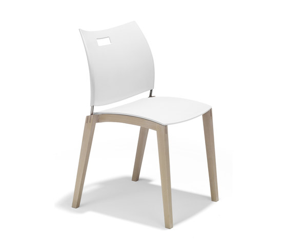 Cito | Stühle | Casala