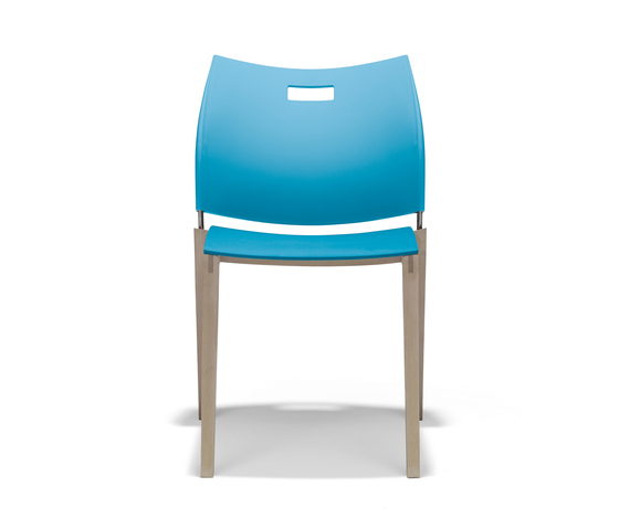 Cito | Stühle | Casala