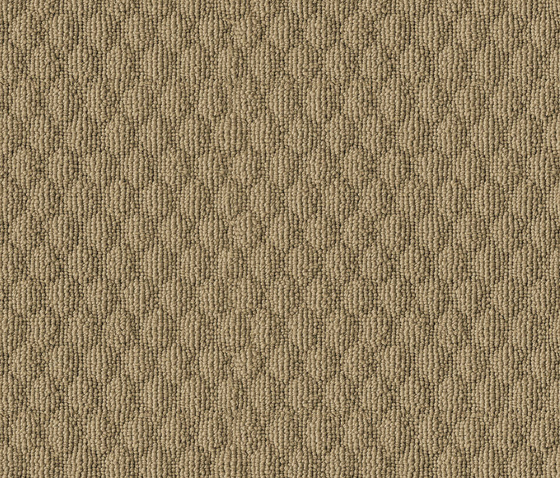 Buttons 0916 Sesam by OBJECT CARPET | Rugs