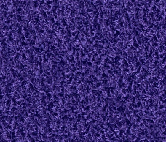 Poodle 1490 Purple Velvet by OBJECT CARPET | Rugs