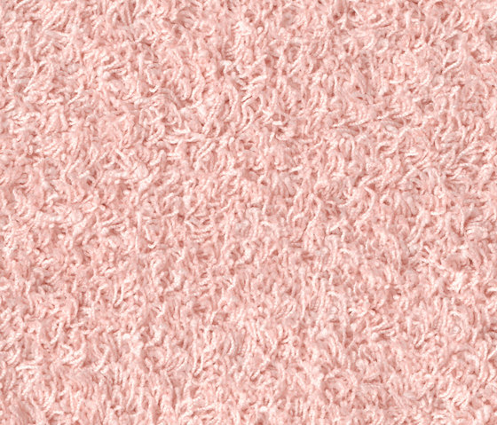 Poodle 1493 | Rugs | OBJECT CARPET