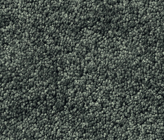 Rondo 1154 | Wall-to-wall carpets | OBJECT CARPET