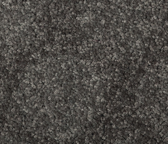 Rondo 1156 | Wall-to-wall carpets | OBJECT CARPET