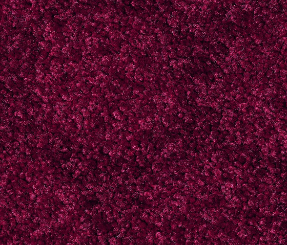 Rondo 1157 | Wall-to-wall carpets | OBJECT CARPET