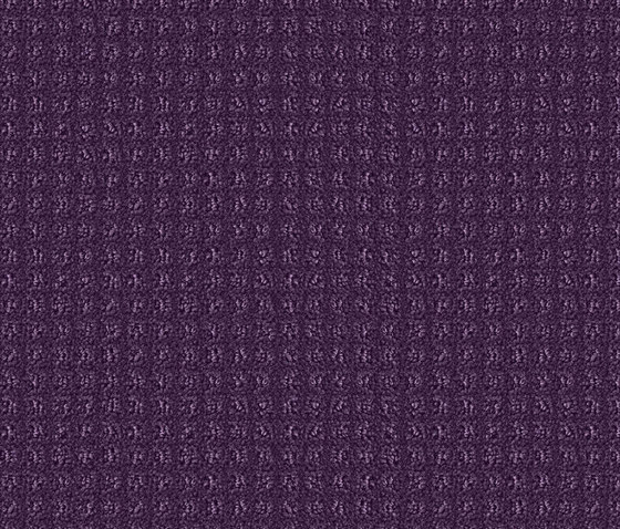 Squadra 1001 Tymian | Wall-to-wall carpets | OBJECT CARPET