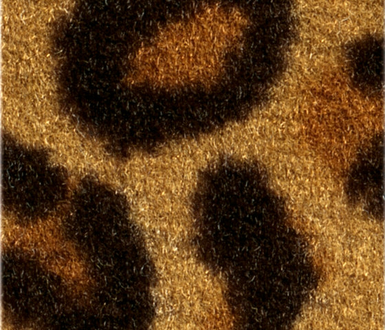 Leo 701 | Wall-to-wall carpets | OBJECT CARPET