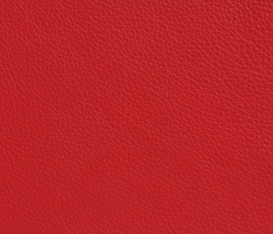 Elmonordic 55031 | Natural leather | Elmo