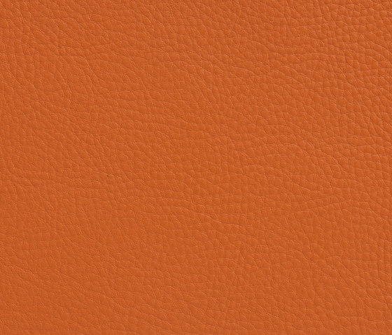 Elmonordic 54372 | Natural leather | Elmo