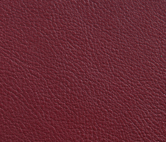 Elmorustical 95024 | Natural leather | Elmo