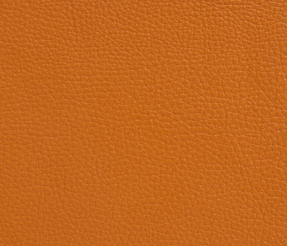 Elmoline 54004 by Elmo | Natural leather