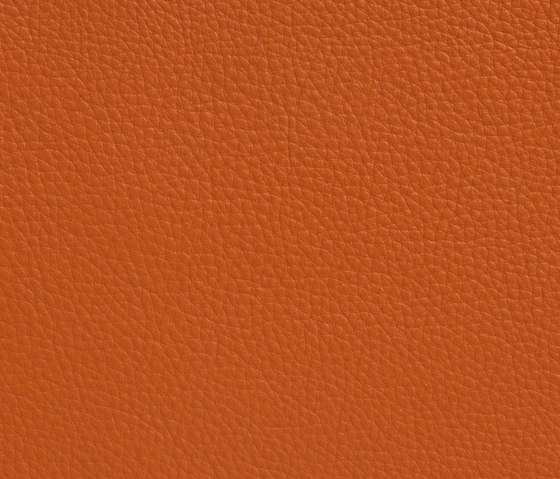 Elmoline 53003 | Natural leather | Elmo