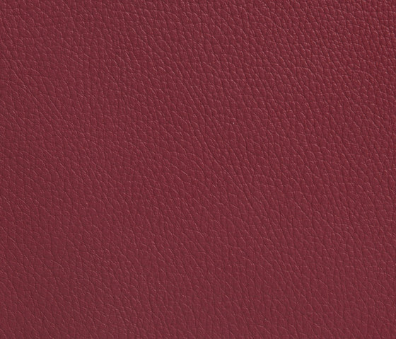 Elmoline 35010 by Elmo | Natural leather