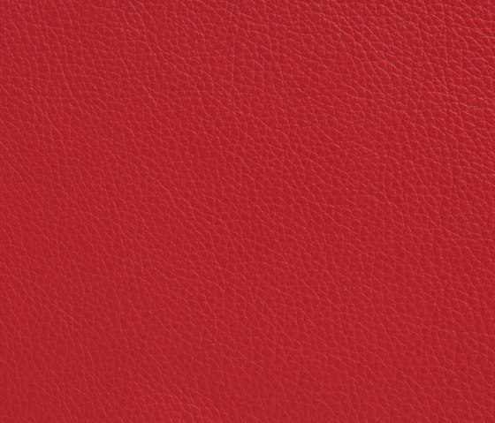 Elmotech 05010 | Natural leather | Elmo