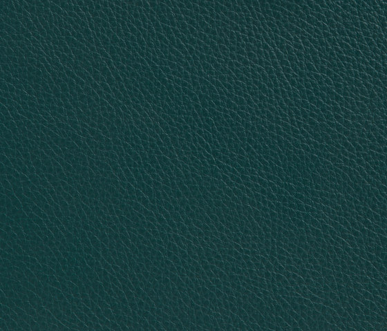 Elmotech 98007 | Natural leather | Elmo