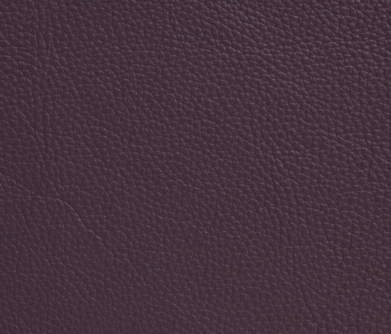 Elmotech 75004 | Natural leather | Elmo
