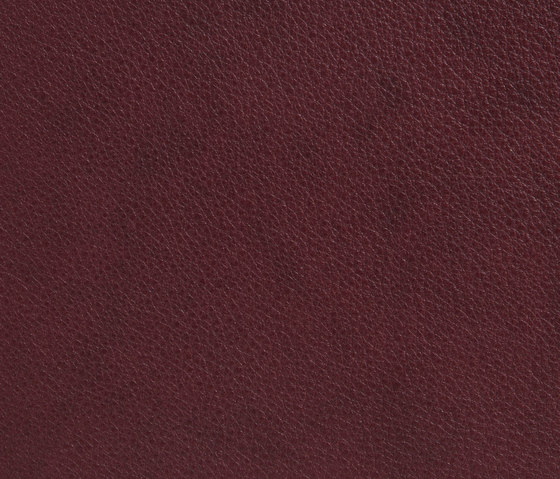 Elmobaltique 95442 | Natural leather | Elmo