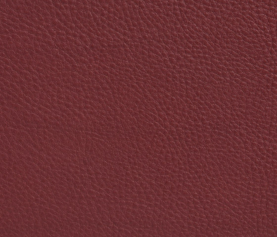 Elmobaltique 95052 | Natural leather | Elmo