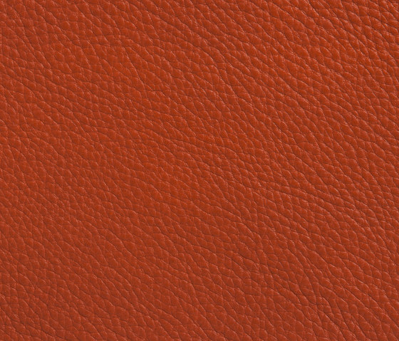 Elmobaltique 53001 by Elmo | Natural leather