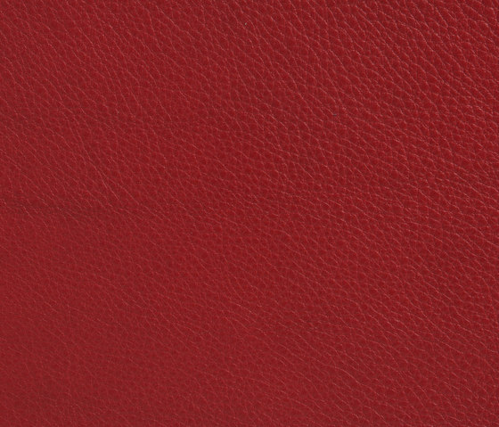 Elmobaltique 55053 | Natural leather | Elmo
