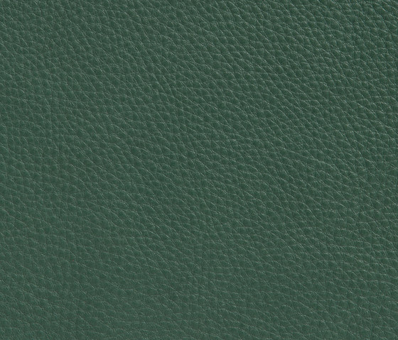Elmobaltique 88054 | Natural leather | Elmo