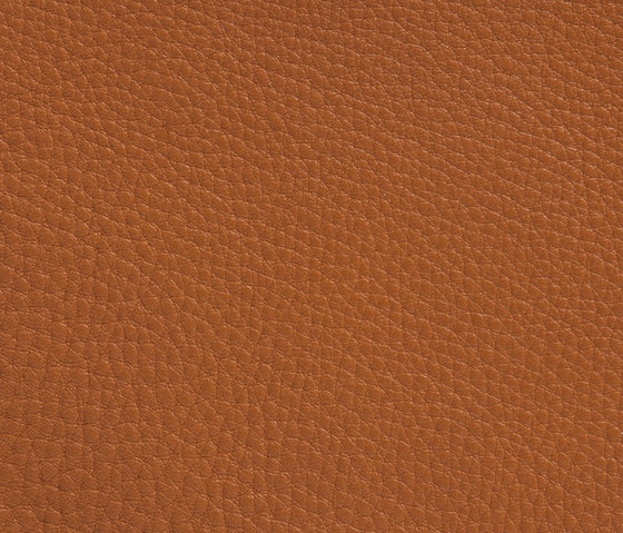 Elmogrand 43015 | Natural leather | Elmo