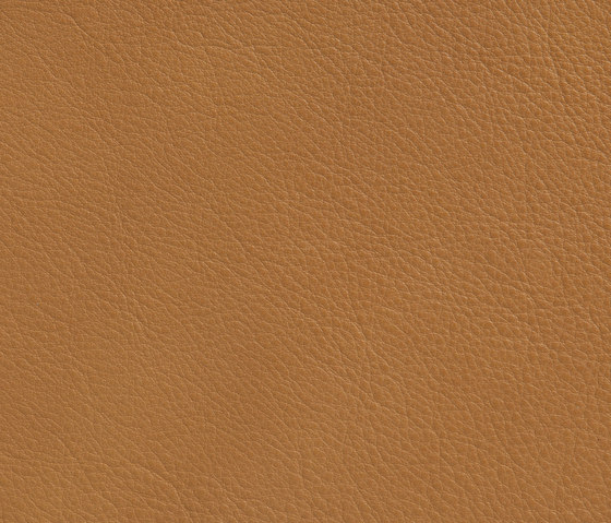 Elmotique 03028 | Natural leather | Elmo