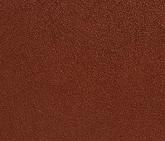 Elmotique 93718 | Natural leather | Elmo