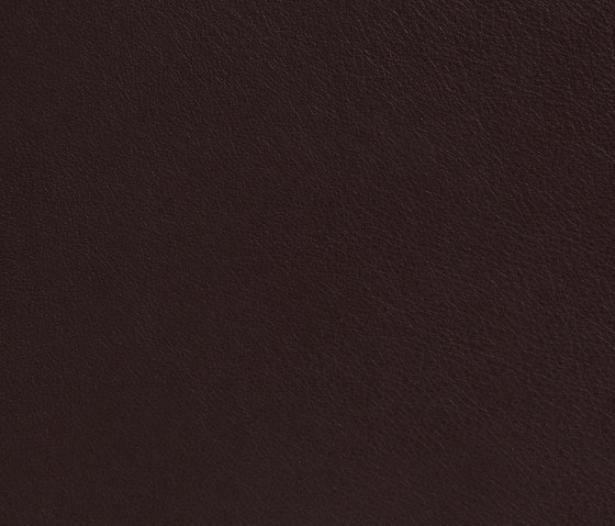 Elmotique 93021 | Natural leather | Elmo