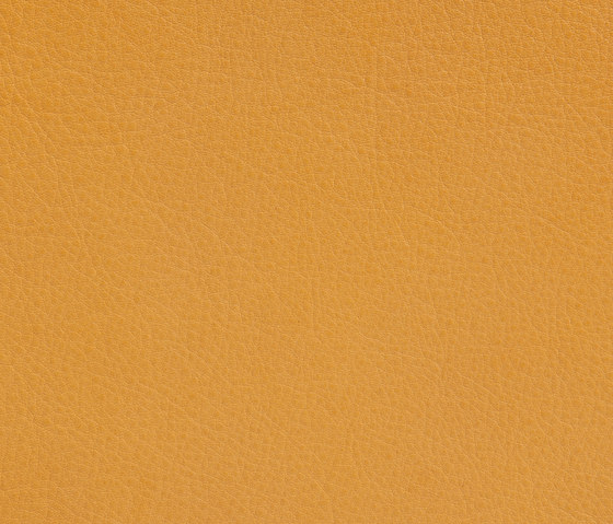Elmotique 04010 | Natural leather | Elmo