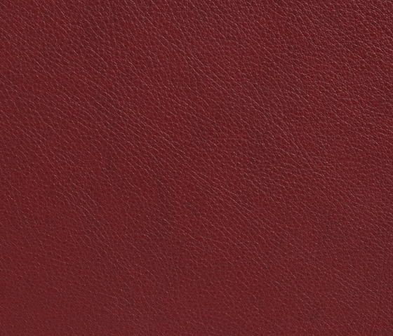 Elmotique 95947 | Natural leather | Elmo