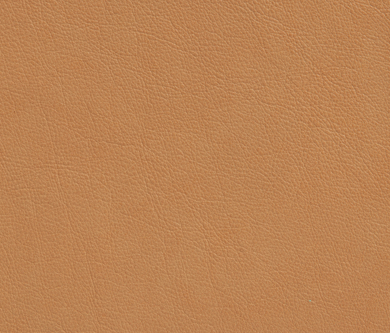 Elmotique 43024 | Natural leather | Elmo