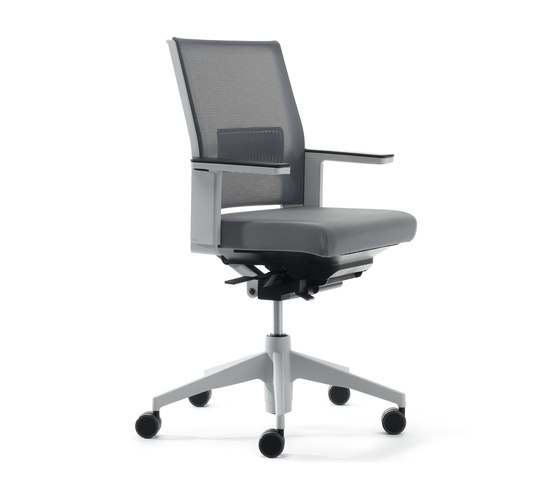 Trazo work chair | Sedie ufficio | Dynamobel