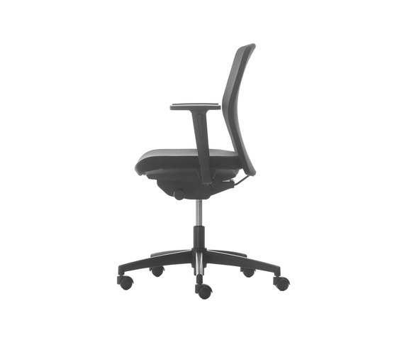 D Chair Pro Support® Low Back | Office chairs | Nurus
