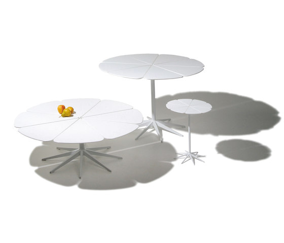Petal® Table | Dining tables | Knoll International