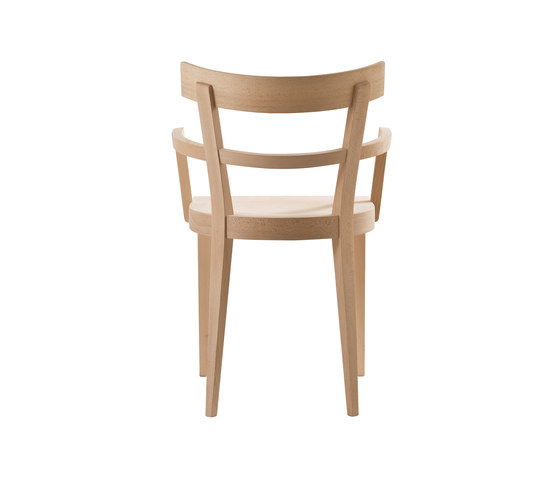 Cafè chair with armrests | Sillas | Billiani