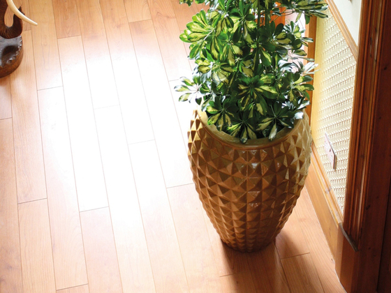 Pharao | Plant pots | LivinGreen