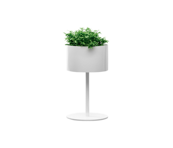Green Light S | Plant pots | Systemtronic