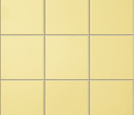 Anthologhia Forsizia | Ceramic tiles | Appiani