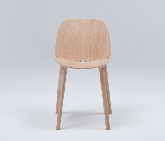 Osso Chair | MC3 | Sedie | Mattiazzi