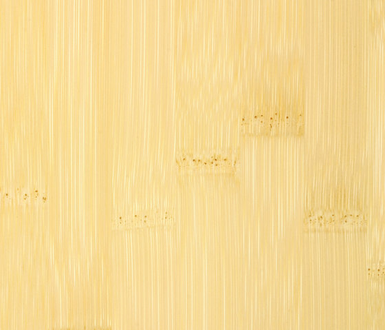 Bamboo Plex plainpressed natural | Planchers bambou | MOSO bamboo products
