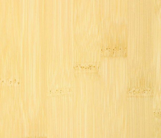 Veneer plainpressed natural | Chapa de bambú | MOSO bamboo products