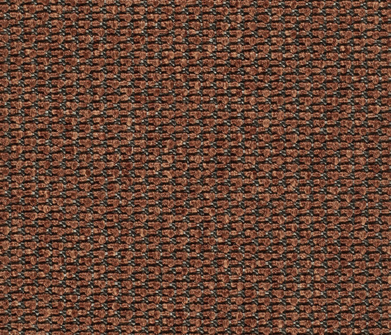 Eco Pur 3 01824 | Teppichböden | Carpet Concept