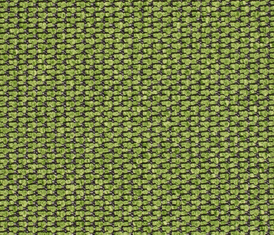 Eco Pur 3 03740 | Moquette | Carpet Concept