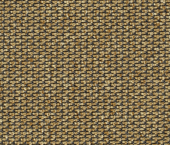 Eco Pur 3 07144 | Moquettes | Carpet Concept