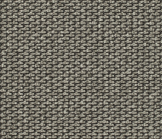 Eco Pur 3 53118 | Moquette | Carpet Concept