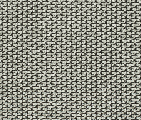 Eco Pur 3 53122 | Moquettes | Carpet Concept