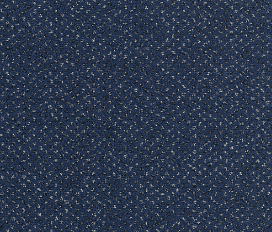 Concept 507 - 81 | Teppichböden | Carpet Concept