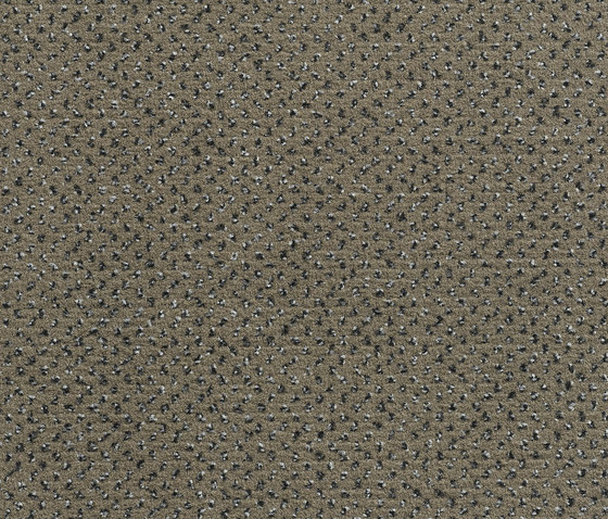 Concept 507 - 90 | Teppichböden | Carpet Concept