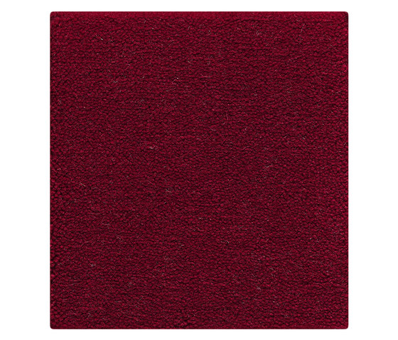 Maja | Ruby Red 815 | Wall-to-wall carpets | Kasthall