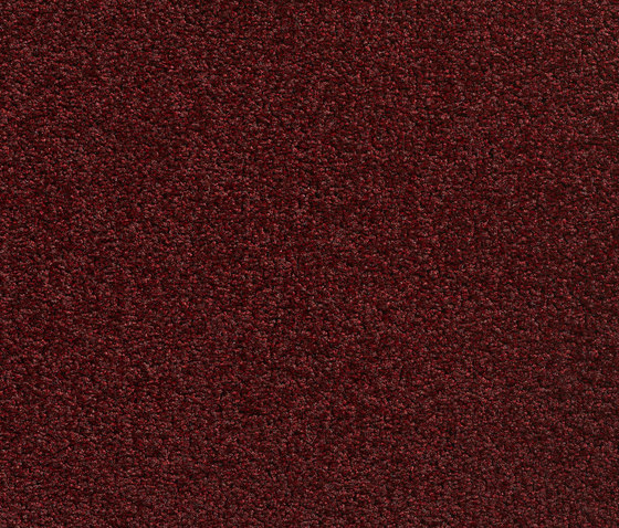 Concept 505 - 289 | Teppichböden | Carpet Concept